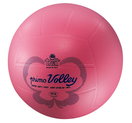 15.678 Volleybal Trial BV15